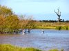 Real Estate and Property in 62-170 Manifold Road, Swan Bay, VIC