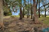 https://images.listonce.com.au/custom/l/listings/63-healeys-road-marlo-vic-3888/046/01976046_img_08.jpg?lBclcbNiwNY