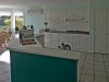 Real Estate and Property in 65 Bellevue Drive, Ocean Grove, VIC