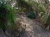 Real Estate and Property in 65 Bellevue Drive, Ocean Grove, VIC