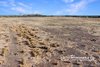 https://images.listonce.com.au/custom/l/listings/660-aitkens-road-bengworden-vic-3875/212/01943212_img_08.jpg?bUpBbgJAEhg