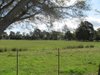 https://images.listonce.com.au/custom/l/listings/668-stephensons-road-tambo-upper-vic-3885/313/00512313_img_03.jpg?dXL0BfrR0Aw