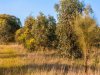 Real Estate and Property in 680 Cnr Ghazeepore Roads & Blackgate Roads , Freshwater Creek, VIC