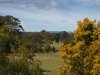 Real Estate and Property in 691 Ashbourne Road, Ashbourne, VIC