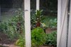 70-80 Old Wingello Road, Bundanoon NSW 2578  - Photo 18