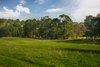 Real Estate and Property in 71 Burkes Lane, Redesdale, VIC