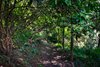 Real Estate and Property in 710 Mount Macedon Road, Mount Macedon, VIC