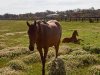 Real Estate and Property in 715 Old Eddington Road, Eddington, VIC