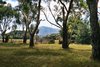 Real Estate and Property in 72 Ferrier Road, New Gisborne, VIC