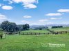 https://images.listonce.com.au/custom/l/listings/757-nungurner-road-metung-vic-3904/830/01981830_img_10.jpg?j5tAKrRwzd4