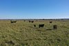 https://images.listonce.com.au/custom/l/listings/775-ives-road-hillside-vic-3875/857/01681857_img_27.jpg?l1TtUiq37zw