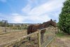 Real Estate and Property in 80 Scanlons Road, Wandong, VIC