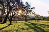 Real Estate and Property in 820 Baynton Road, Pastoria East, VIC