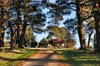 Real Estate and Property in 820 Baynton Road, Pastoria East, VIC
