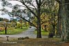 Real Estate and Property in 83 Howey Street , Gisborne, VIC
