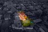 Real Estate and Property in 87 Highfield Road, Canterbury, VIC
