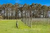 Real Estate and Property in 880 Winchelsea-Deans Marsh Road, Winchelsea South, VIC