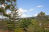 8/82 Drumalbyn Road, Bellevue Hill NSW 2023  - Photo 4