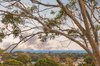 Real Estate and Property in 8B Driftwood Street, Ocean Grove, VIC