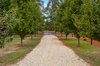 Real Estate and Property in 9 Trentham Road, Tylden, VIC