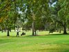 Real Estate and Property in 9/17 Park Lane, South Yarra, VIC