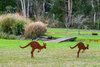 94 Penrose Road, Bundanoon NSW 2578  - Photo 15