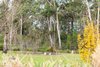 94 Penrose Road, Bundanoon NSW 2578  - Photo 17