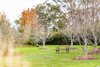 94 Penrose Road, Bundanoon NSW 2578  - Photo 21