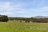 Real Estate and Property in 959 Bacchus Marsh Road, Bullengarook, VIC