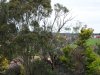 Real Estate and Property in 98 Andersons Creek Rd (via service lane) , Doncaster East, VIC