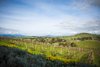Real Estate and Property in Allinda Winery - 119 Lorimers Lane, Dixons Creek, VIC