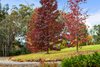 2320 Canyonleigh Road, Canyonleigh NSW 2577  - Photo 15