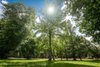 Real Estate and Property in Cherokee, VIC