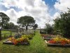 Real Estate and Property in Gisborne South, VIC