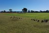 https://images.listonce.com.au/custom/l/listings/lees-road-briagolong-vic-3860/831/01716831_img_07.jpg?lB-X0naQt1c