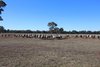 https://images.listonce.com.au/custom/l/listings/lees-road-briagolong-vic-3860/831/01716831_img_08.jpg?mufCpyuxb5E