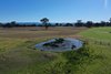 https://images.listonce.com.au/custom/l/listings/lees-road-briagolong-vic-3860/831/01716831_img_09.jpg?aIqB-wJKunc