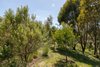 Real Estate and Property in Lot 1/249 Sheedy Road, Gisborne, VIC