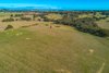 Real Estate and Property in Lot 1/53 Honeysuckle Road, Lauriston, VIC