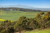 Real Estate and Property in Lot 2/960 Barrabool Road, Barrabool, VIC