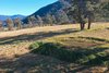 https://images.listonce.com.au/custom/l/listings/lot-3-wonnangatta-road-dargo-vic-3862/406/01316406_img_04.jpg?kI_1mWef4YU