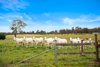 Lot 6/1319 Bullamalita Road, Quialigo NSW 2580  - Photo 3