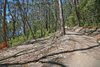 Real Estate and Property in E Parcel E Dollar Drive, Wye River, VIC