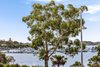 1A Rose Bay Avenue, Rose Bay NSW 2029  - Photo 4