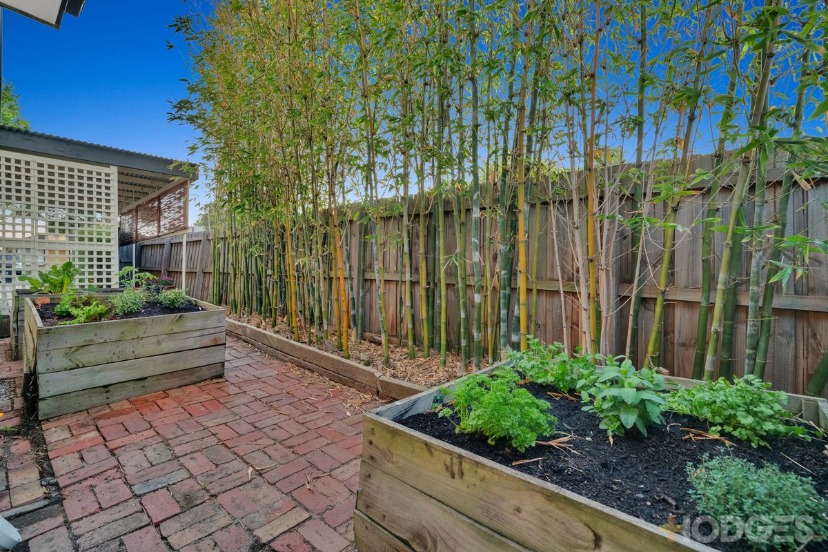 1 / 19 Sunray Avenue Cheltenham - Residential for sale