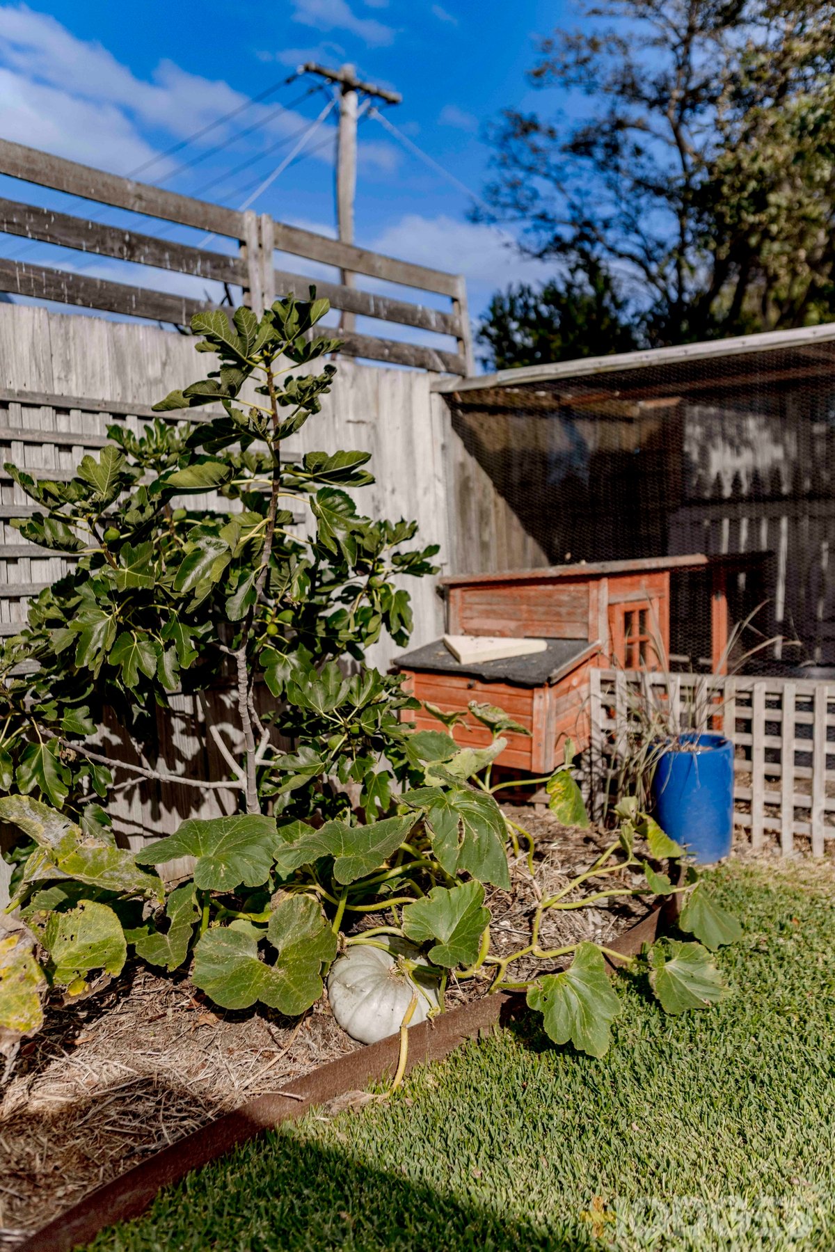 12 Condy Street Drysdale - Residential for sale