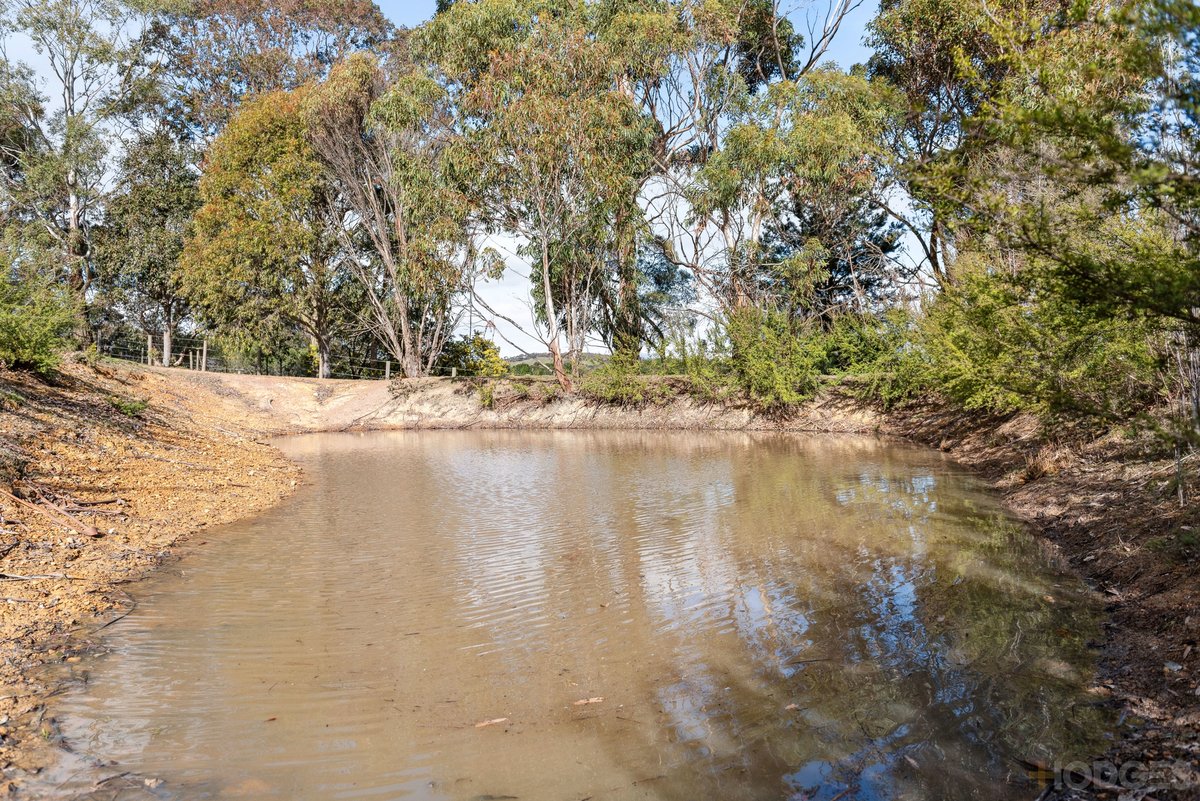 12 Trainers Drive Kilmore - Residential for sale