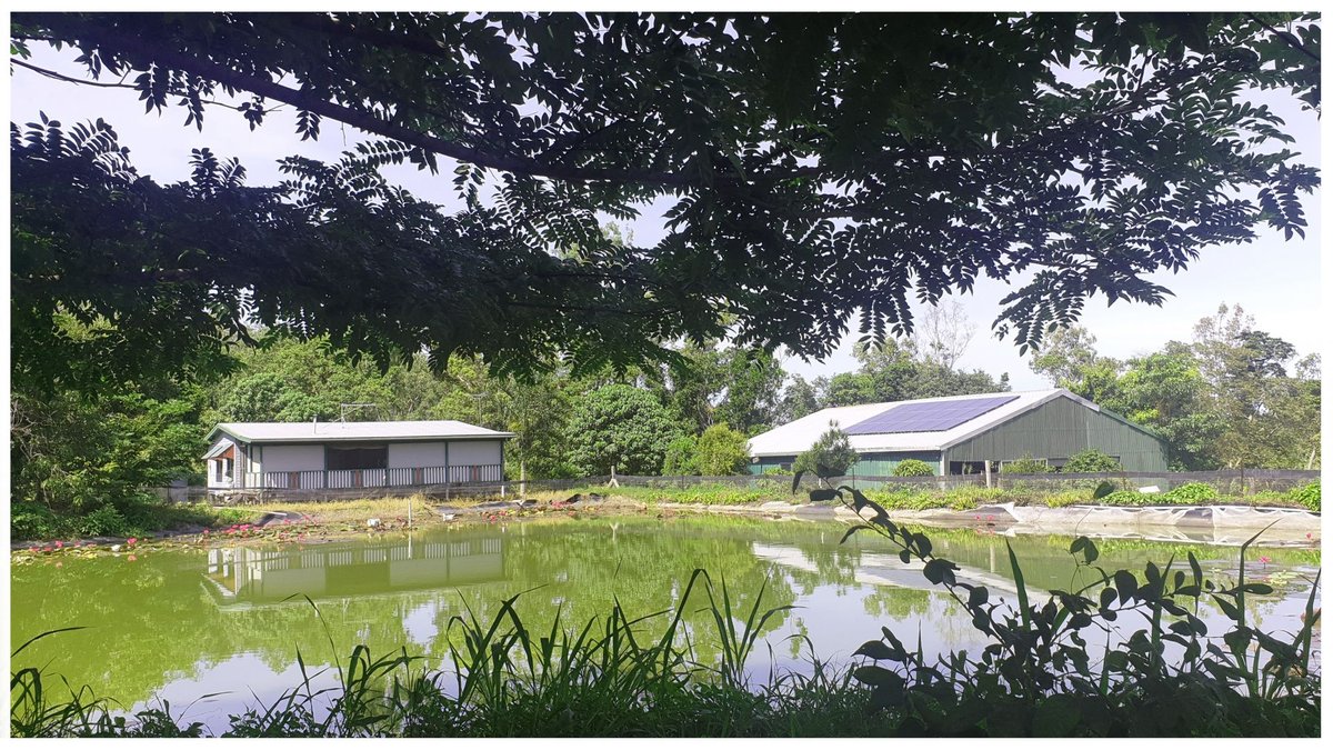 134 Ashton Road, GREGORY RIVER QLD 4800