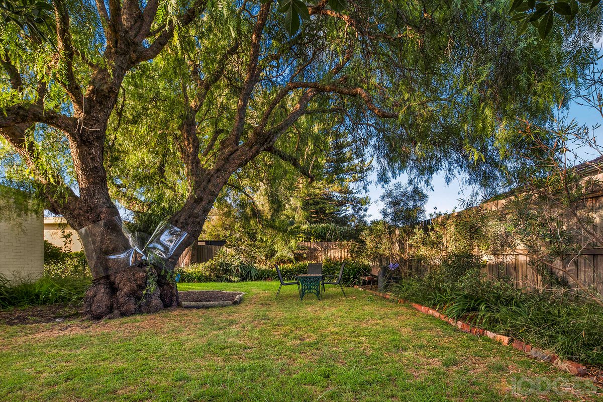 1 / 36 Edward Street Sandringham - Residential for sale