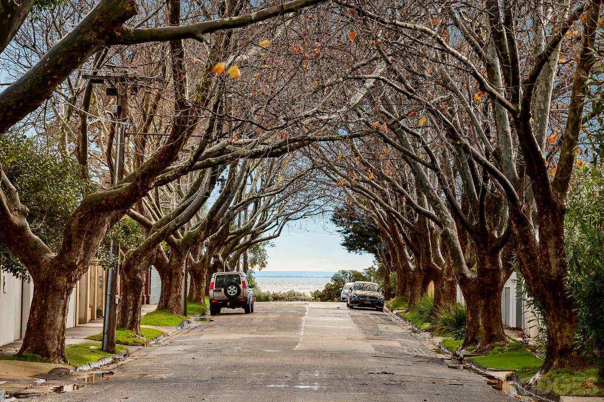 1 / 361 St Kilda Street Brighton - Residential for sale